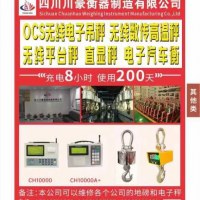 主营:OCS无线电子吊秤，无线数传高温秤，直显秤，电子汽车衡，无线平台秤，轨道衡，装载机称重系统等